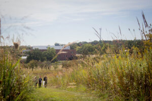 Luther students walking through the Anderson Prairie