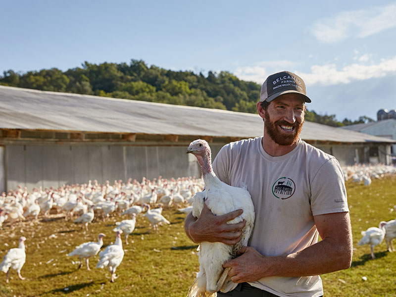 A man in a baseball hat holding a white turkey, in front of a large group of other white turkeys near a low shed