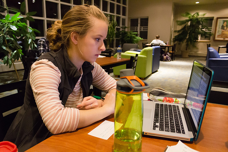 student studies in Farwell Hall study lounge