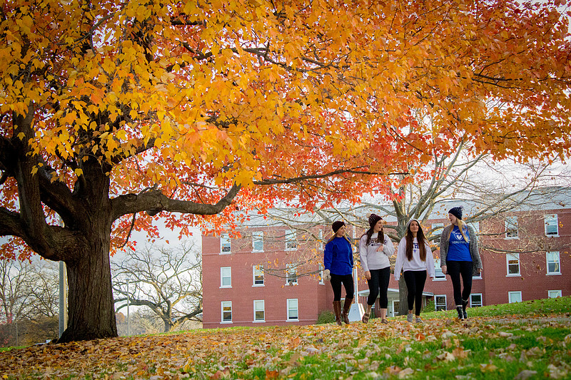group of people walk campus grounds surrounded by autumn colors