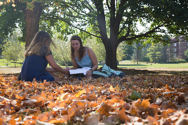 students sit outside in autumn weather